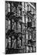 Photographic Print