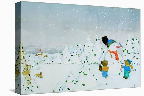Stretched Canvas Print, , large