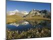Photographic Print