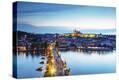 Stretched Canvas Print