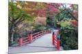 Premium Photographic Print