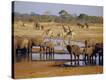 Stretched Canvas Print