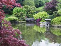 Ryoanji Temple Moss Garden, Ryoan-Ji Temple, Unesco World Heritage Site, Kyoto City, Honshu, Japan-Christian Kober-Photographic Print