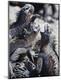 Photographic Print