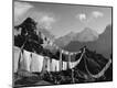 Photographic Print