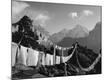 Premium Photographic Print