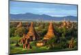 Premium Photographic Print