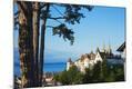 Photographic Print
