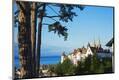 Photographic Print