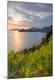 Premium Photographic Print