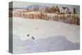 Stretched Canvas Print