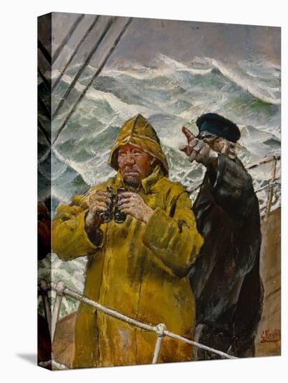 Stretched Canvas Print, , large