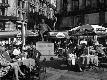 Premium Photographic Print