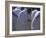 Christian Men at Prayer During Mass in the Church at Woolisso, Shoa Province, Ethiopia-Bruno Barbier-Framed Photographic Print