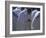 Christian Men at Prayer During Mass in the Church at Woolisso, Shoa Province, Ethiopia-Bruno Barbier-Framed Photographic Print