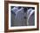 Christian Men at Prayer During Mass in the Church at Woolisso, Shoa Province, Ethiopia-Bruno Barbier-Framed Photographic Print