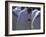 Christian Men at Prayer During Mass in the Church at Woolisso, Shoa Province, Ethiopia-Bruno Barbier-Framed Photographic Print