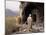 Christian Monastery Church, Gabriel Wuken, Mount Workamba, Tambien, Tigre Provice, Ethiopia, Africa-Bruno Barbier-Mounted Photographic Print