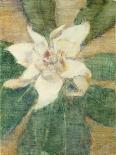 Chrysanthemums; Chrysanthemen, 1919 (Gouache on Paper)-Christian Rohlfs-Giclee Print