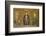 Christian Wall Mosaic. Hagia Sophia. Istanbul. Turkey-Tom Norring-Framed Photographic Print