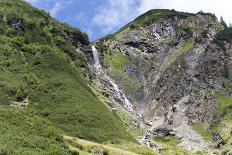 bladder campion, Silene vulgaris, Hohe Tauern, Carinthia, East Tyrol, Austria-Christian Zappel-Photographic Print