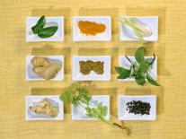 Asian Herbs and Spices-Christiane Krüger-Photographic Print