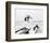 Christie Brinkley-null-Framed Photo