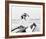 Christie Brinkley-null-Framed Photo