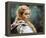 Christina Ricci - Sleepy Hollow-null-Framed Stretched Canvas