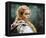 Christina Ricci - Sleepy Hollow-null-Framed Stretched Canvas