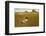 Christina's World, 1948-Andrew Wyeth-Framed Art Print