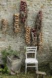 Bunches of Onions Drying Out on Brick Wall with Chair-Christina Wilson-Framed Photo