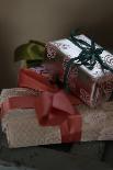 Christmas Presents Wrapped with Bows and Metallic Paper-Christina Wilson-Photo