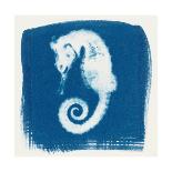 Cyan Octopus-Christine Caldwell-Premium Giclee Print