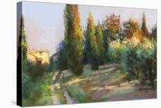 Noon Along the Wall-Christine Debrosky-Framed Giclee Print