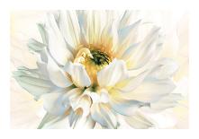 Painted Petals II-Christine Elizabeth-Framed Giclee Print