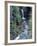 Christine Falls, Mount Rainier National Park, Washington State-Colin Brynn-Framed Photographic Print