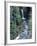 Christine Falls, Mount Rainier National Park, Washington State-Colin Brynn-Framed Photographic Print