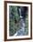 Christine Falls, Mount Rainier National Park, Washington State-Colin Brynn-Framed Photographic Print