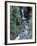 Christine Falls, Mount Rainier National Park, Washington State-Colin Brynn-Framed Photographic Print