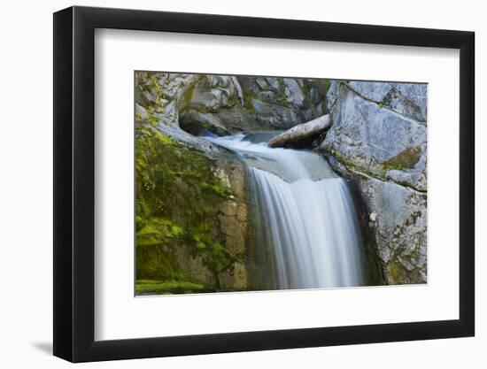 Christine Falls, Mount Rainier National Park, Washington, USA-Michel Hersen-Framed Photographic Print