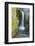 Christine Falls, Mount Rainier National Park, Washington, USA-Michel Hersen-Framed Photographic Print