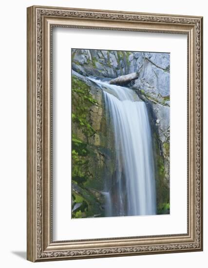 Christine Falls, Mount Rainier National Park, Washington, Usa-Michel Hersen-Framed Photographic Print