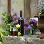 Red Wine Glasses & Red Wine Bottle on Stone Trough with Flowers-Christine Gill?-Framed Photographic Print