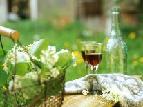 Two Glasses of Red Wine in Springtime Garden-Christine Gillé-Mounted Photographic Print