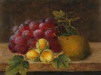 Grapes, Cobnuts and a Pear on a Ledge-Christine Marie Lovmand-Laminated Giclee Print
