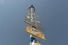 swing carousel at the Oktoberfest, Munich-Christine Meder stage-art.de-Photographic Print