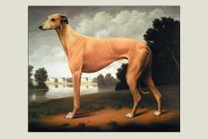 Greyhound on a Parkland Landscape-Christine Merrill-Framed Stretched Canvas