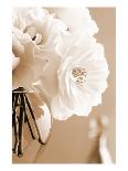 White Roses Bouquet-Christine Zalewski-Art Print