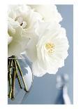 White Rose in Sepia-Christine Zalewski-Art Print